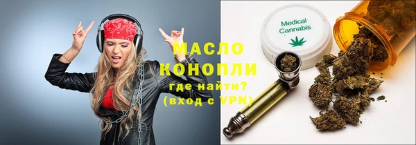 молекула духа Вяземский