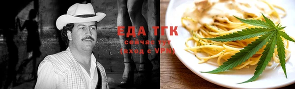 молекула духа Вяземский