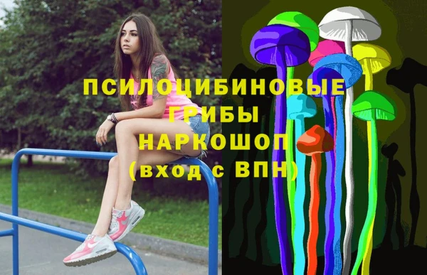 мдпв Вязники