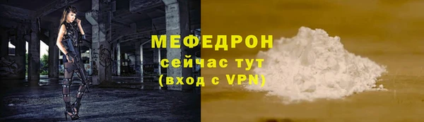 молекула духа Вяземский
