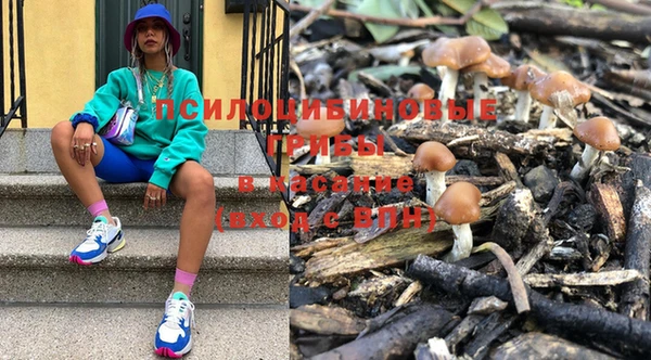 a pvp Володарск
