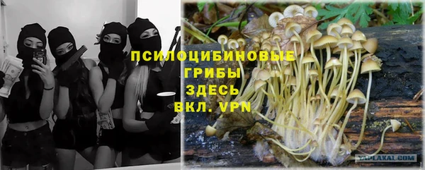 ГАЛЛЮЦИНОГЕННЫЕ ГРИБЫ Вязьма